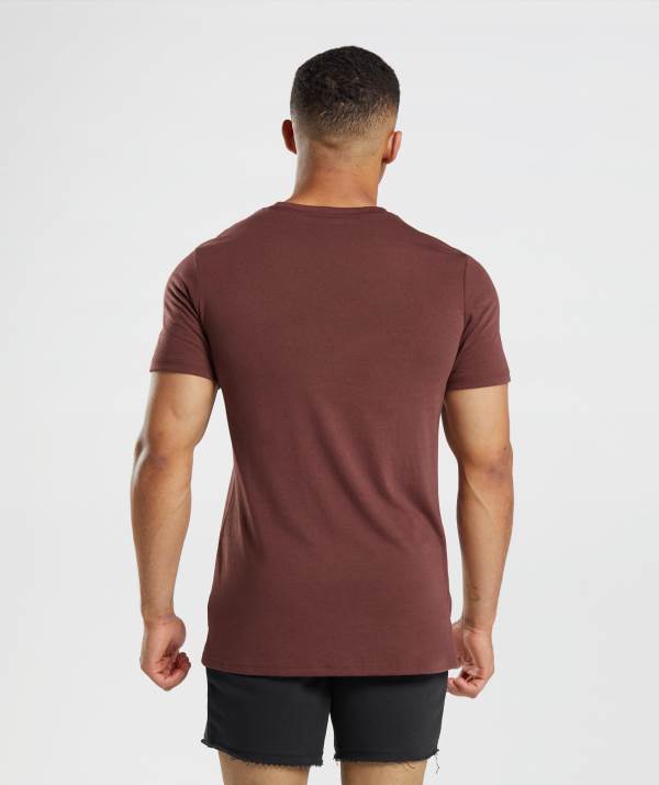 Panske Tricka Gymshark Legacy Ruzove Hnede | TK5270864